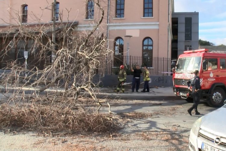 G&uuml;ng&ouml;ren'de otomobillerin &uuml;zerine ağa&ccedil; devrildi