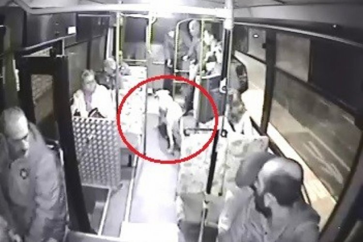 Halk otob&uuml;s&uuml;ne binen sokak k&ouml;peği yolcuların maskotu oldu