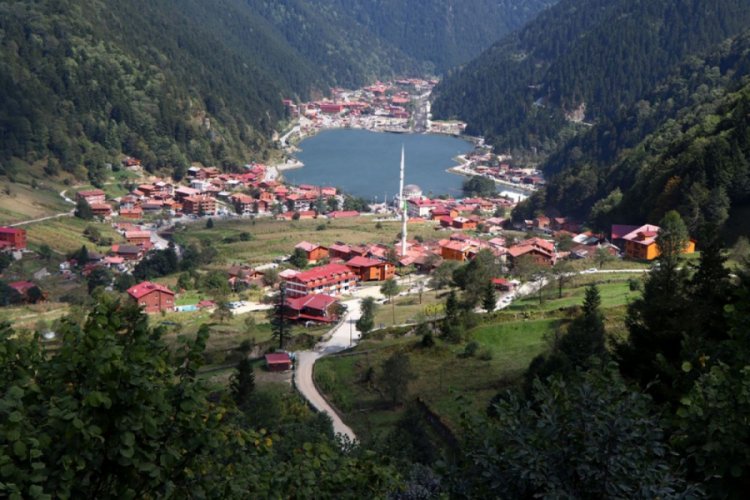 Yapay Uzung&ouml;l ve Ayder yapılacak