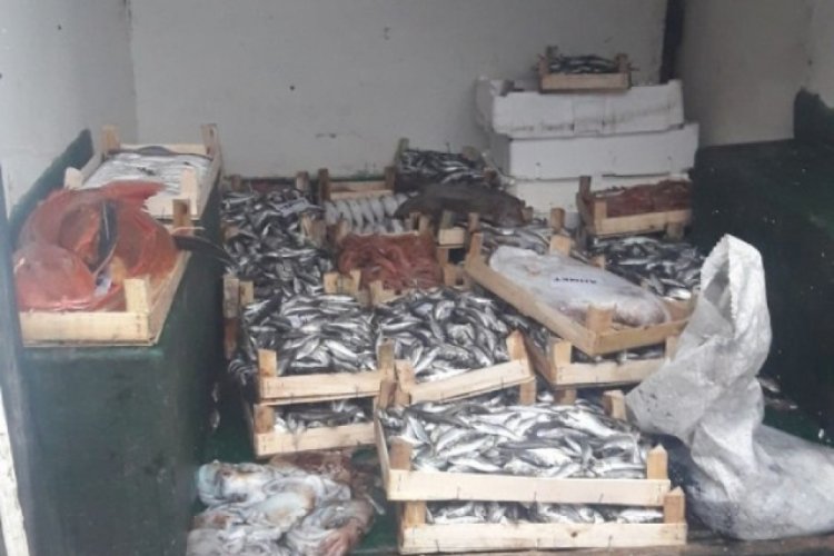 Ka&ccedil;ak trol avcılığına ceza yağdı