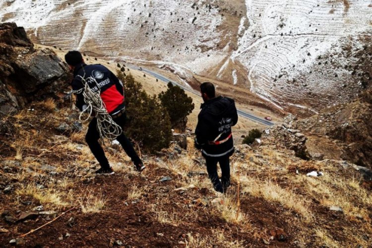 Sarp kayalıklarda mahsur kalan 2 &ccedil;oban ve 6 koyun kurtarıldı