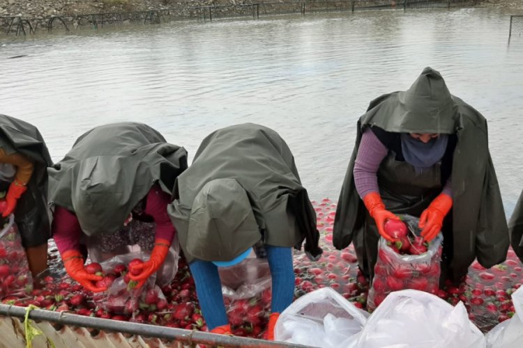 Kadınların soğuk suda ekmek m&uuml;cadelesi