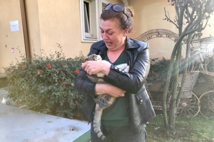 L&uuml;ks sitedeki kedi &ouml;l&uuml;mleri hayvanseverleri ayağa kaldırdı