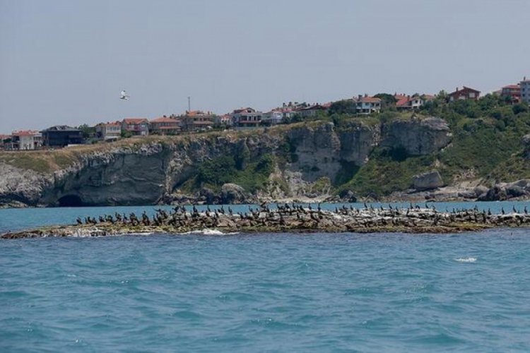 &Uuml;nl&uuml; sahilin parkı 22.7 milyon TL'den satışa &ccedil;ıkartıldı