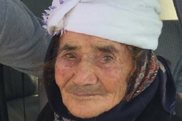 Sokak k&ouml;peği yaşlı kadının y&uuml;z&uuml;n&uuml; par&ccedil;aladı