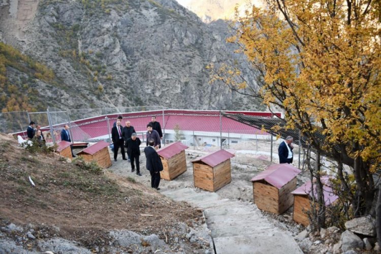 Sokak hayvanları kayıt altına alınıp kısırlaştırılacak