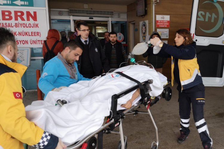 Bursa'da kestiği ağacın dal par&ccedil;asının &ccedil;arpmasıyla &ouml;ld&uuml;