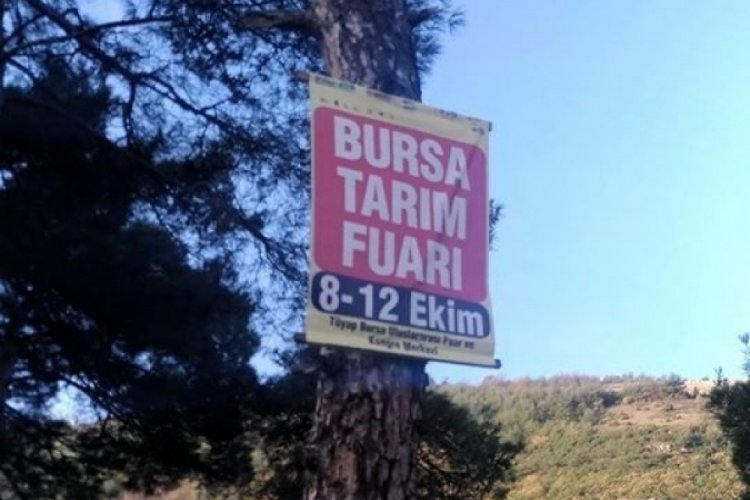 Bursa'da reklam i&ccedil;in ağa&ccedil;lara &ccedil;ivi &ccedil;aktılar