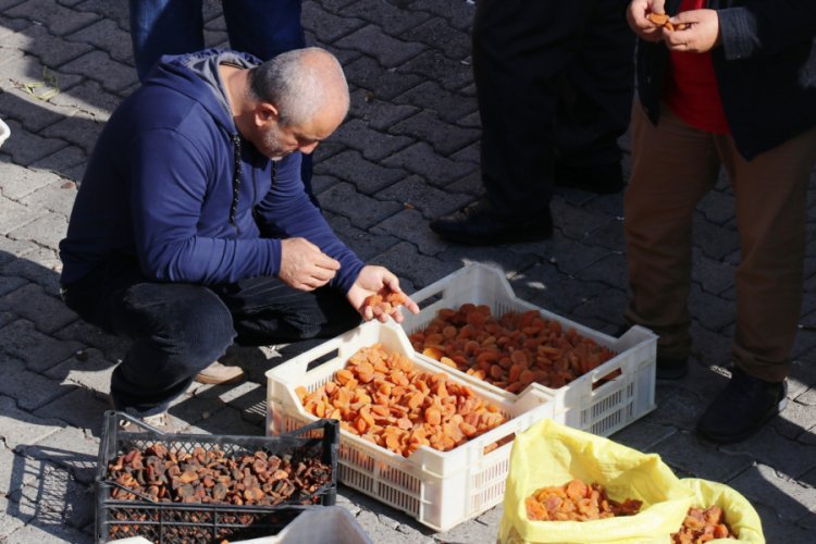 Kayısı ihracatında gelir d&uuml;şt&uuml;