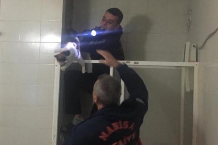 Havalandırma boşluğuna d&uuml;şen kedi kurtarıldı