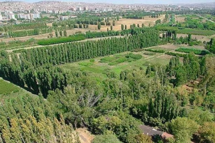 AYM, Atat&uuml;rk'&uuml;n vasiyetini bulamadı