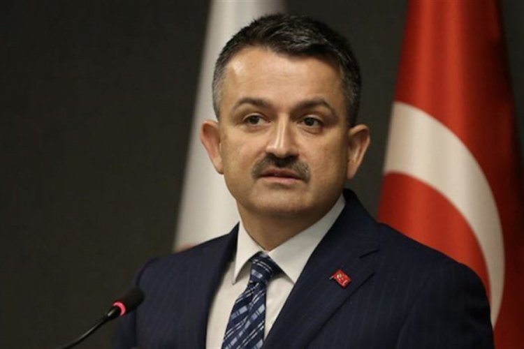 Bakan Pakdemirli'den hayvan ithalatı a&ccedil;ıklaması