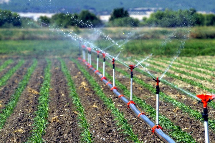 Sulu tarım &uuml;lke ekonomisine 68 milyon lira katkı getirdi