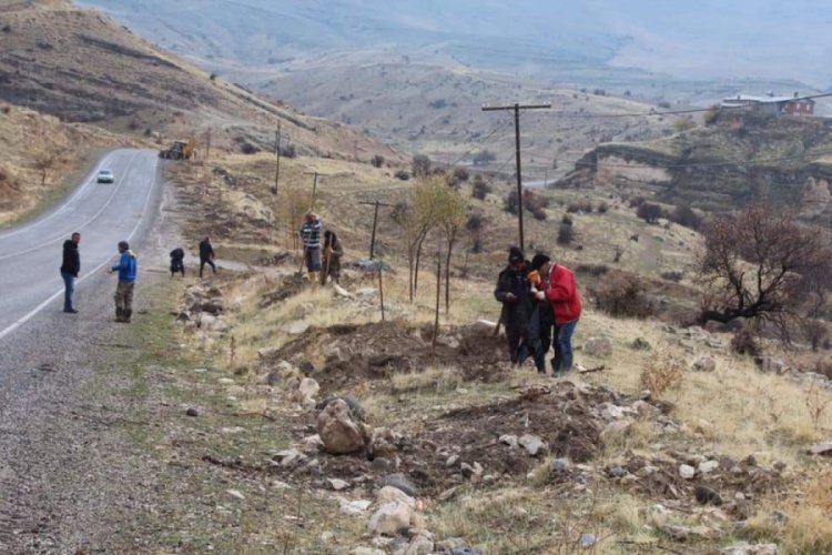 2 bin dut fidanı toprakla buluşturuldu
