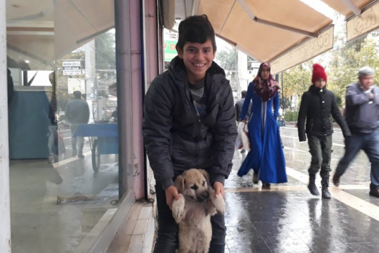 Yiyeceğini sokak k&ouml;peği ile paylaştı
