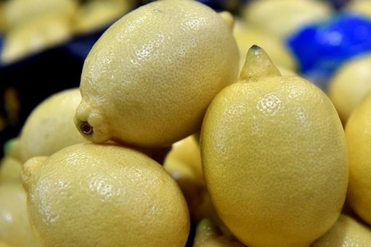 Limonun fiyatı &uuml;reticiyi sevindirdi