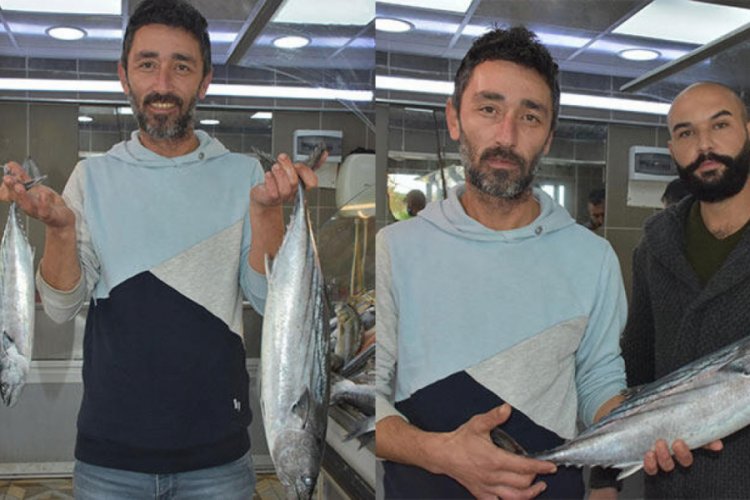 Palamut diye 'tombik' satılıyor