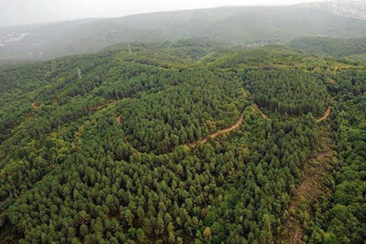 OGM: "Kaliteli fidanlar kaliteli tohumlardan &uuml;retilir"