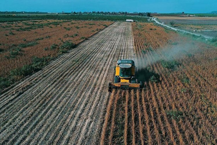 Stratejik tarım &uuml;r&uuml;nleri i&ccedil;in oluşturulan takip masaları devrede