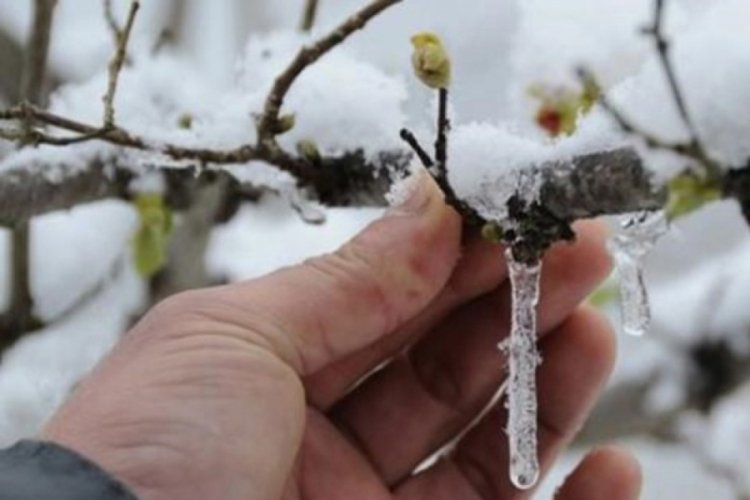 Meteorolojiden don ve yağış uyarısı
