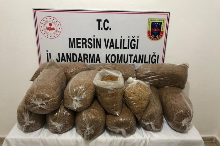 75 kilo bandrols&uuml;z t&uuml;t&uuml;n ele ge&ccedil;irildi