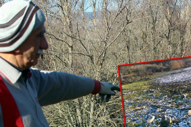 Tedirgin eden g&ouml;r&uuml;nt&uuml;ye 360 bin lira ceza kesildi