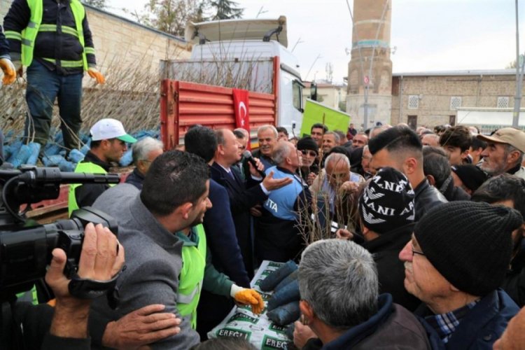Vatandaşlara fidan dağıttılar
