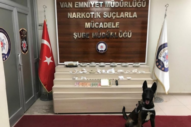 Gizlenen uyuşturucu maddeyi Zeus buldu