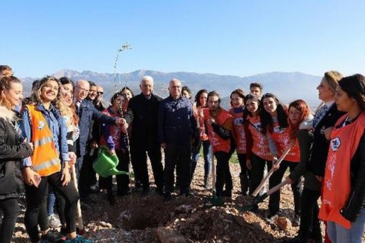 Muğla'daki &ccedil;&ouml;p sahasına 2 bin fidan dikildi