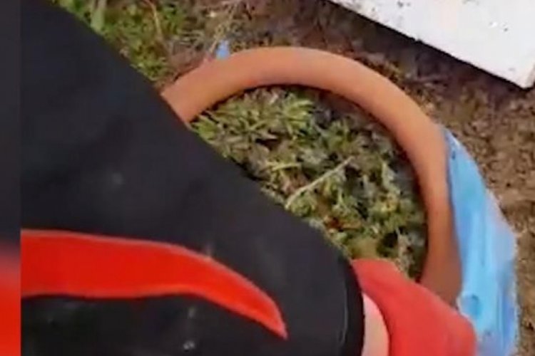 Yanan sobada uyuşturucu bulundu