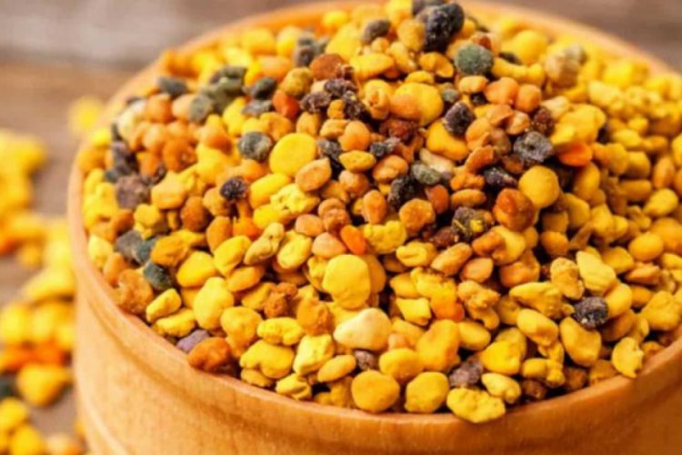 Propolis Nedir? Propolisin Faydaları Ve Yan Etkileri Nelerdir? Propolisin Kullanılışı