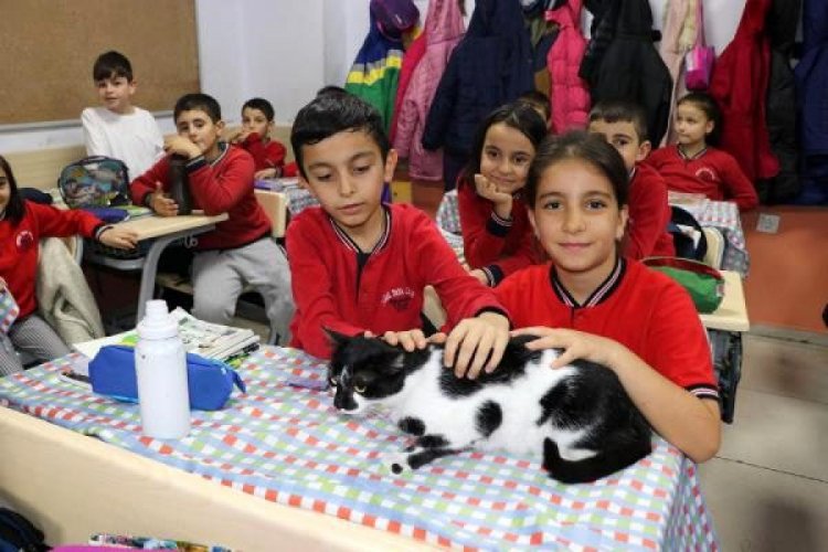 M&uuml;d&uuml;r&uuml;n sahiplendiği kedi, &ouml;ğrencilerin neşesi oldu