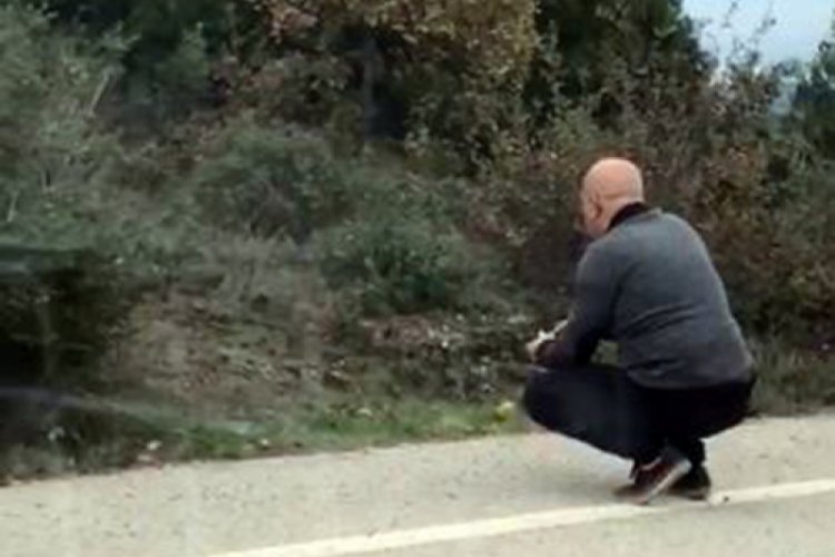 A&ccedil; kalan tilkiyi elleriyle besledi