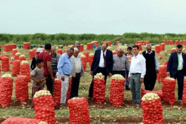 Hava şartları T&uuml;rk &uuml;reticilere fırsat oldu
