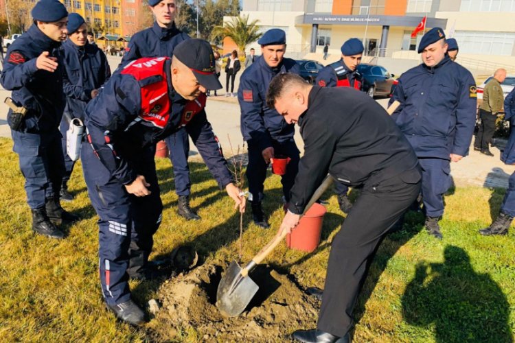 Fak&uuml;ltede fidanlar toprakla buluştu
