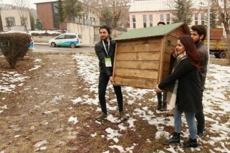 Hayvanlar i&ccedil;in kul&uuml;be yaptılar