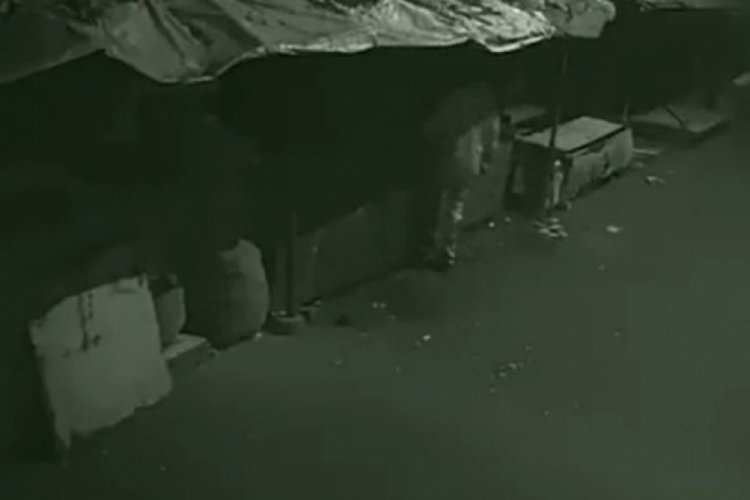 Hindistan'da soğan hırsızları artıyor