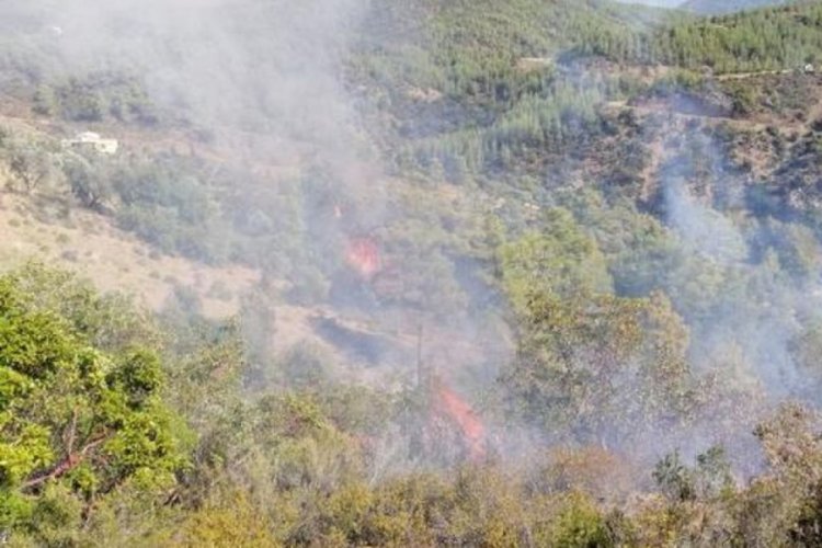 Gazipaşa'da bu yıl 8 orman yangını &ccedil;ıktı