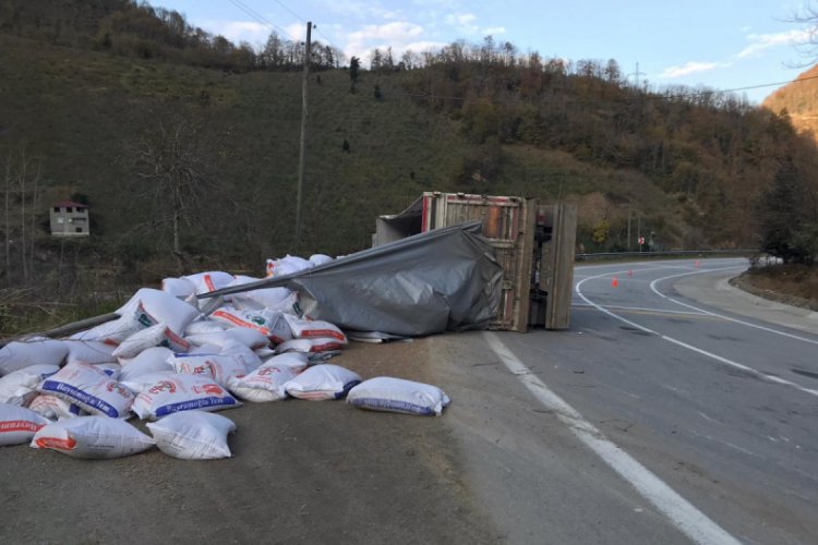 Kontrolden &ccedil;ıkan tır devrildi: 1 yaralı