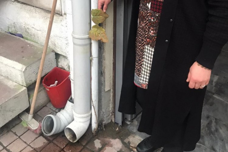 Kaldırımda &ccedil;ıkan dut ağacı şaşkınlık yarattı
