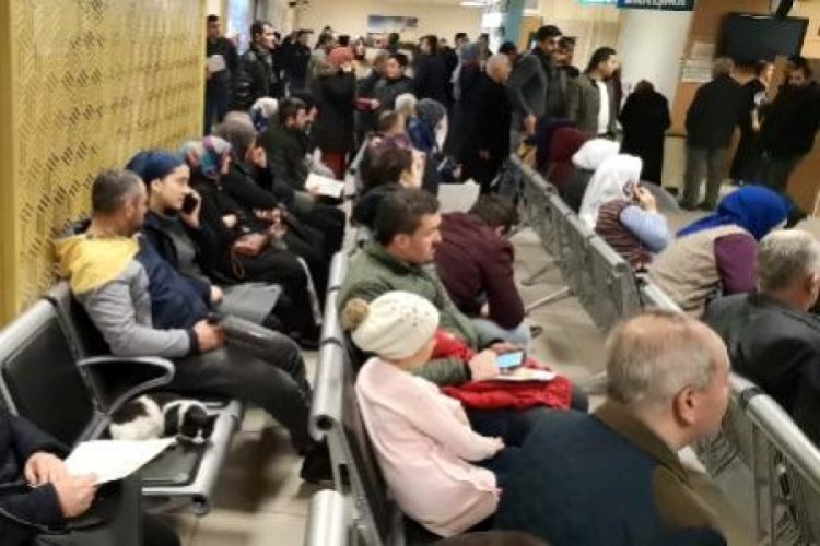 Bursa'da hastaların 'kedi' hassasiyeti ilgi odağı oldu