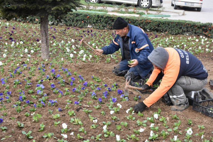 Bursa Gemlik Te Yesillendirme Calismalari Devam Ediyor Bursada Bugun Bursa Bursa Haber Bursa Haberi Bursa Haberleri Bursa