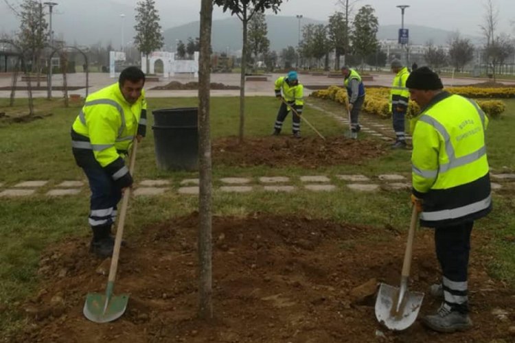 Bursa B&uuml;y&uuml;kşehir Belediye Başkanı Aktaş, 'İklim i&ccedil;in biz de varız' dedi