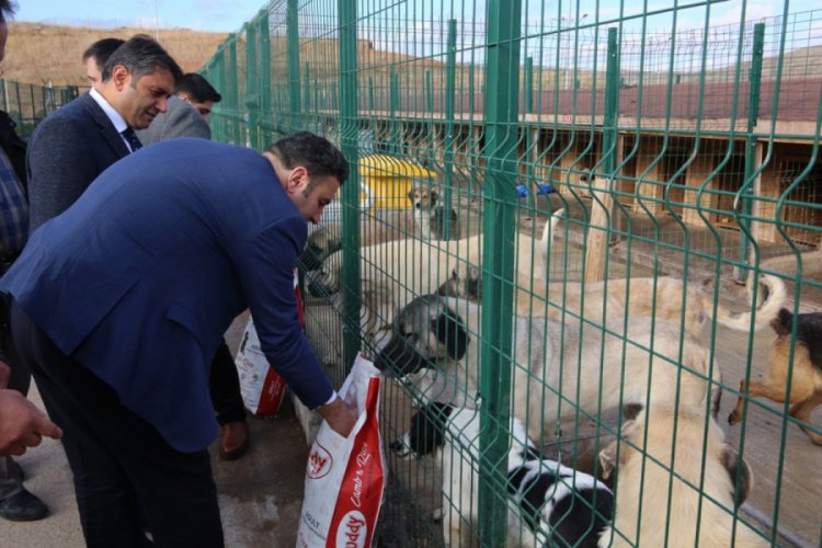 Barınağa 1 ton yem bağışlandı