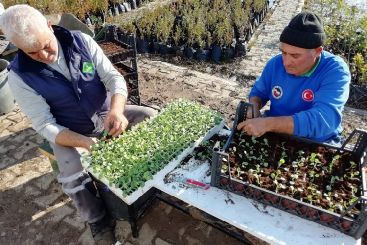 &Ccedil;i&ccedil;ek &uuml;reterek 800 bin lira tasarruf etti