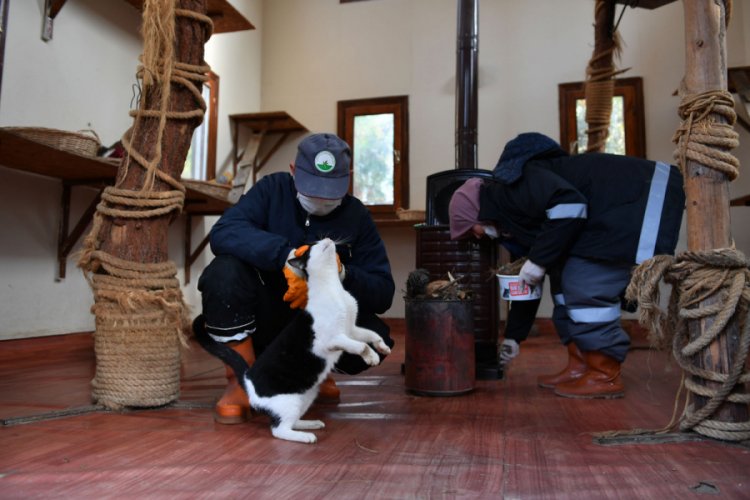 Bursa Da Soguk Kis Gunlerini Villalarinda Geciriyorlar Bursada Bugun Bursa Bursa Haber Bursa Haberi Bursa Haberleri Bursa