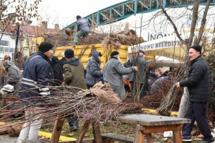 Ucretsiz Meyve Fidanlari Dagitildi Bursada Bugun Bursa Bursa Haber Bursa Haberi Bursa Haberleri Bursa