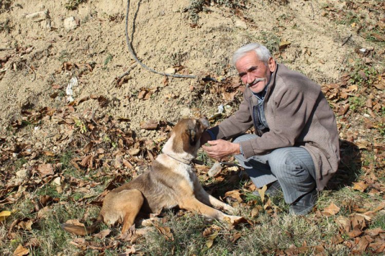 Mahsur kalan k&ouml;peği iple yanına inerek kurtardı