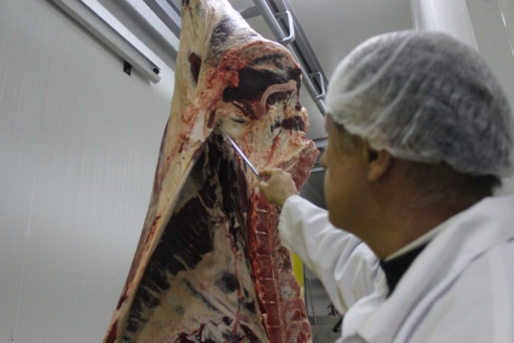 Bursa Uludağ &Uuml;niversitesi &Ouml;ğretim G&ouml;revlisi Tayar'dan d&ouml;ner tartışmasına a&ccedil;ıklama