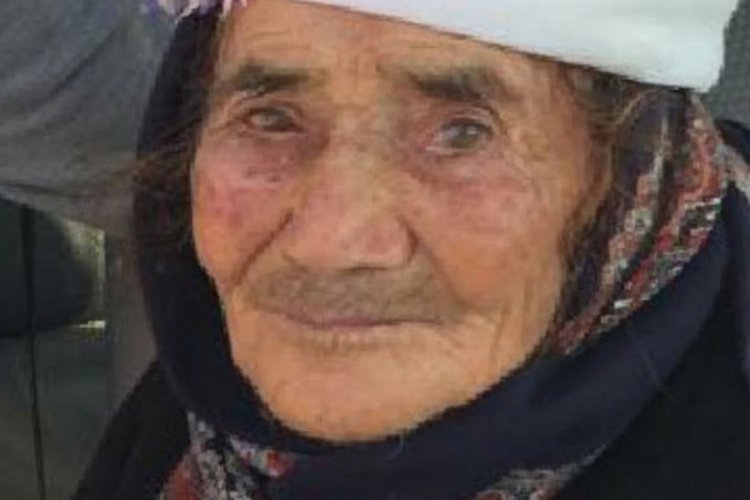 Yabani hayvanlar yaşlı kadının y&uuml;z&uuml;n&uuml; par&ccedil;aladı